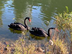 -长白岛森林公园