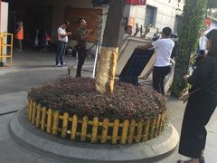 -必胜客(武汉欢乐谷店)