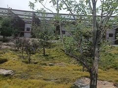 -太原动物园