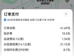 -邢氏老太太烤串(北兴街店)