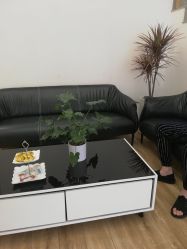-YESIDO椰岛造型