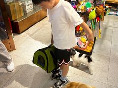 -FAELING PETS美天灵宠物(富力广场店)
