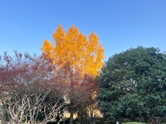 -杭州城北体育公园