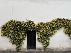 -青果巷历史文化街区