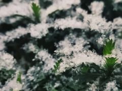 -浮何烤铺(桐梓林店)
