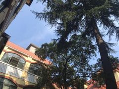 -上海市皮肤病医院(武夷路院区)
