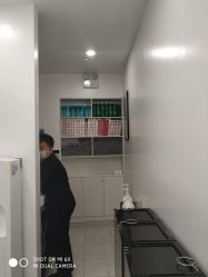 -YESIDO椰岛造型