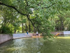 -东湖落雁景区