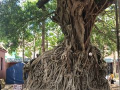 -闽粤南澳总镇府