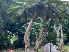 -中国科学院西双版纳热带植物园