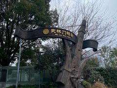 -运河游船(武林门码头)