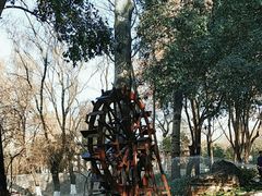 -长乐公园游乐场