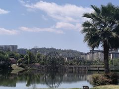 -枫香湖儿童公园