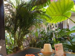 -菌自由丨野生菌火锅特色庭院餐厅(丽江古城店)