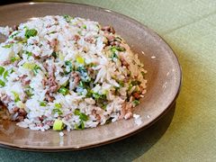 -松赞拉萨林卡酒店