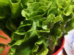 -香满锅老北京羊蝎子火锅·家常菜(新街口店)