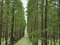 -渌洋湖湿地公园