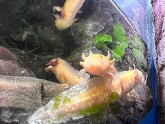 -多彩贵州城极地海洋世界