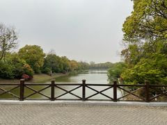 -上海海湾国家森林公园