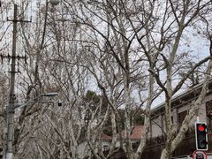 -徐家汇源景区-衡山公园