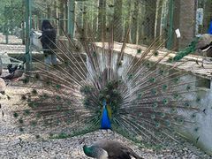 -南京金牛湖风景区