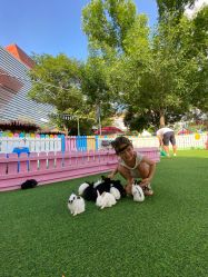 -萌宠亲子动物乐园(槐房万达店)