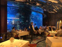 -迪拜帆船酒店海底餐厅