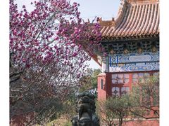 -泰山花样年华景区