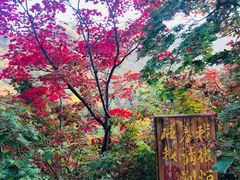 -龙道沟景区