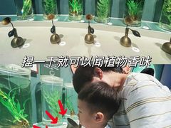 -中国湿地博物馆