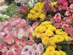 -循礼门鲜花花市(武汉循礼门店)