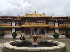 iphone_upload_pic-罗布林卡