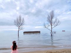 -青海湖国家重点风景名胜区