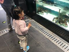 -盒马鲜生(顺义店)