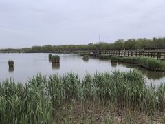 -西青郊野公园