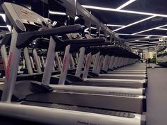 -金吉鸟健身游泳