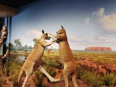 -陕西自然博物馆