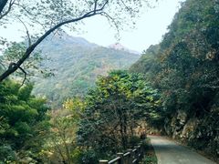 -水墨汀溪风景区