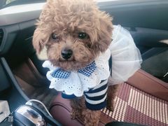 -万达影城(保定万博广场激光IMAX店)