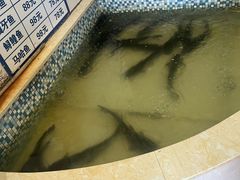 -锅老头铁锅炖•大锅蒸汽海鲜(韩乐坊店)