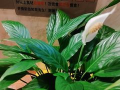 -上坐过桥米线(顺城店)