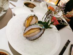六头鲍鱼-红雀围·海鲜火锅(陆家嘴中心店)