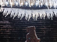 冰窖冰棒-故宫冰窖餐厅