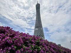 -广州塔