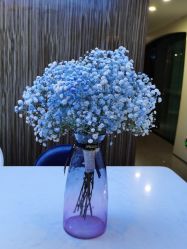 -比华利美容医院