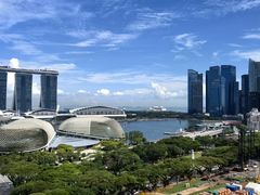 -新加坡瑞士史丹福酒店