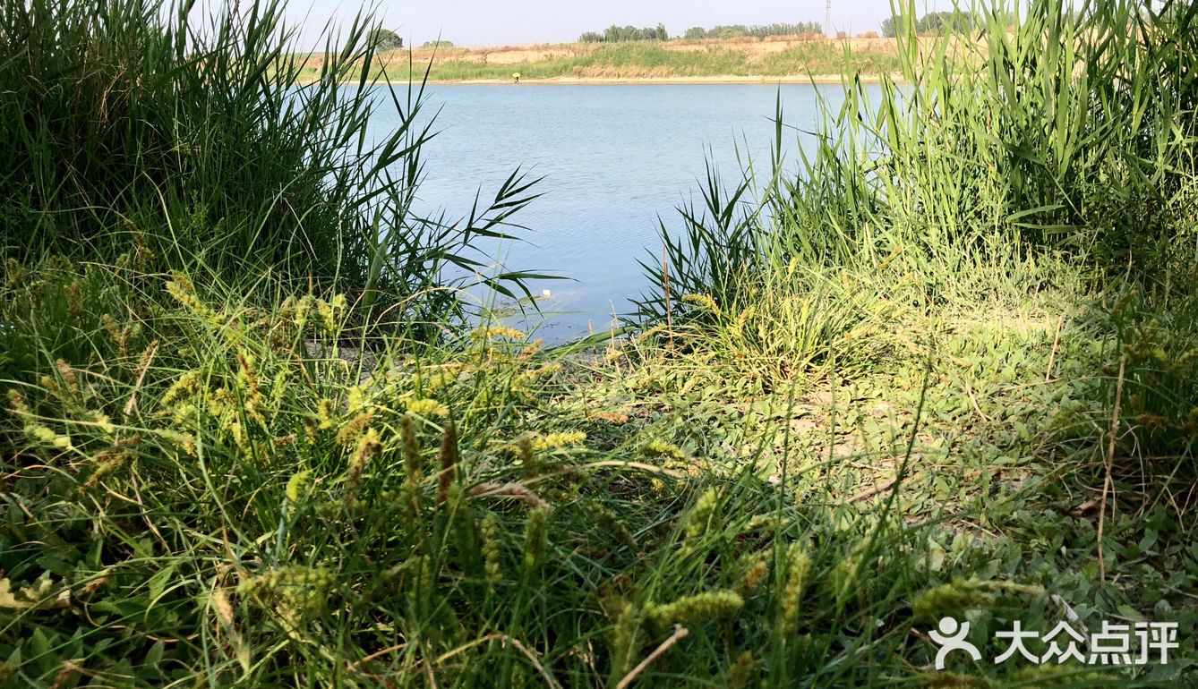 在北国凉风吹过的的夏日