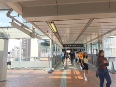 -香港大学