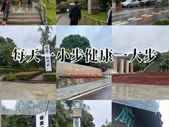 -铁山坪森林公园