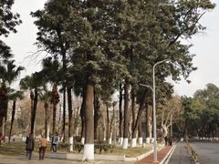 -四川大学(望江校区)